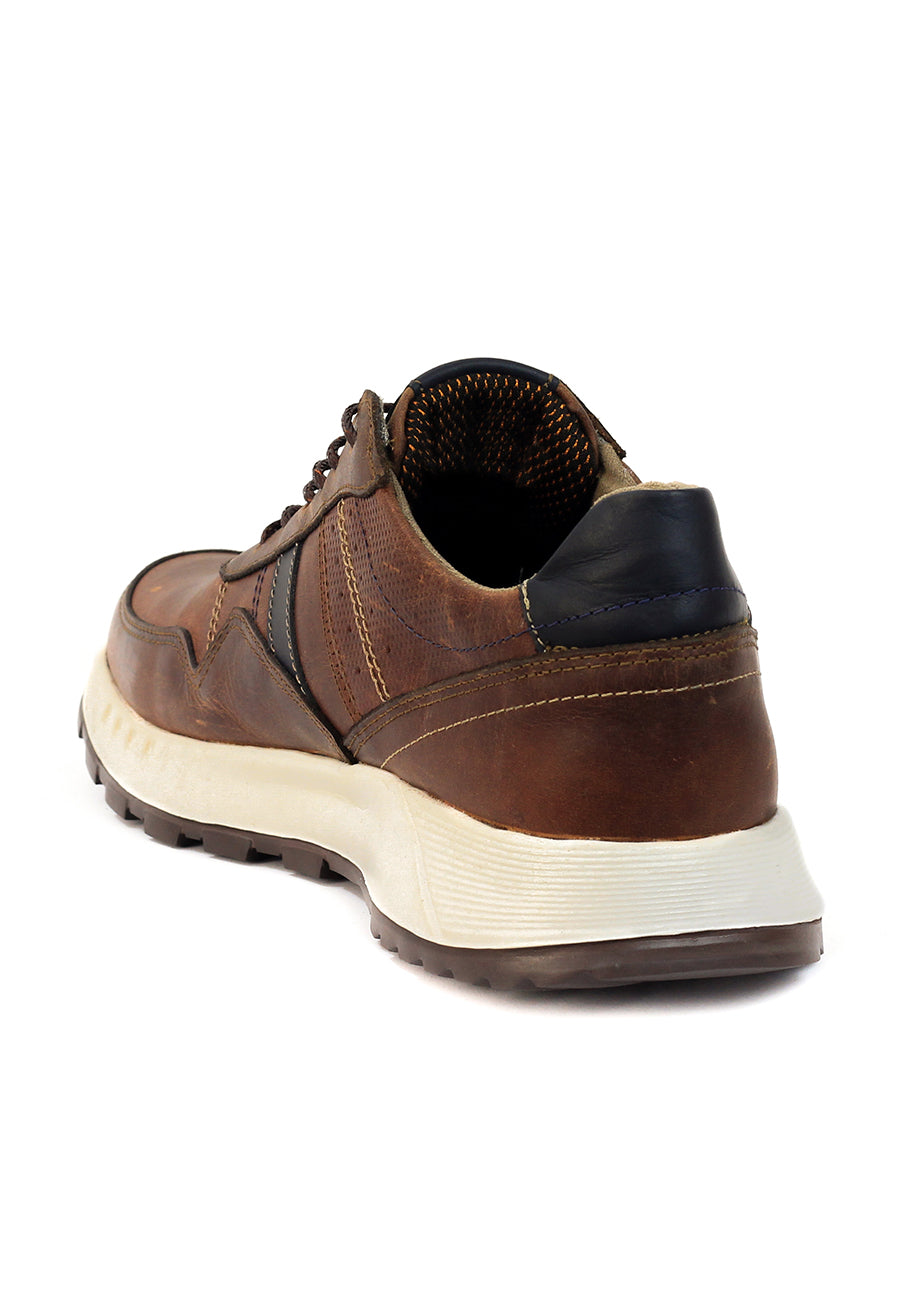 Zapatos San Polos Sneakers Hombre 3531 Coñac