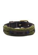 Collar Gatos San Polos Mascotas VC064 Verde