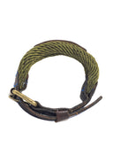 Collar Gatos San Polos Mascotas VC064 Verde